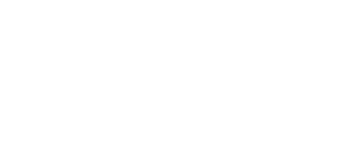 push owl logo Partners