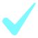 check mark 1 Conversionwise