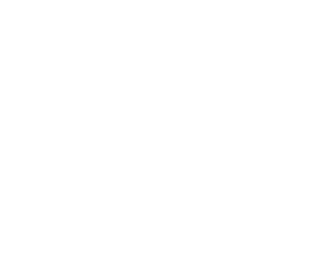 e-commerce agent