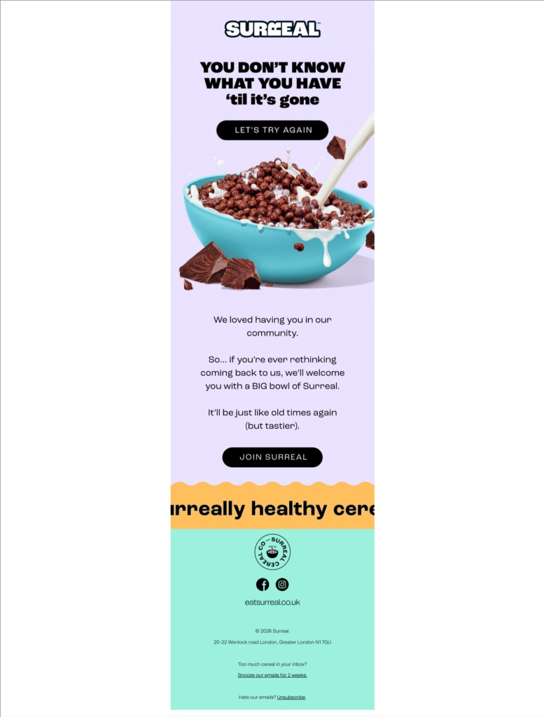 image 22 Essential Email Flows for Subscription Brands